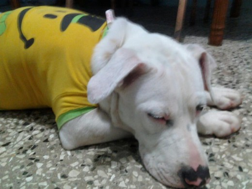 Durmiendo Durmiendo