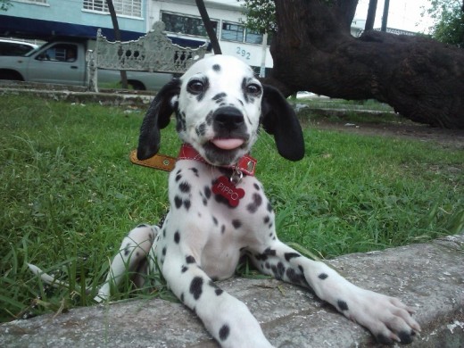 pippo :p pippo :p