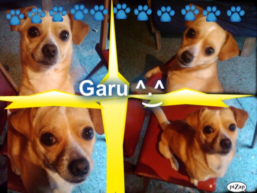 Y si.. este tipo de imagenes se hace en Pizap de Facebook o sino Pizap.com
Ay mi perro bonito..