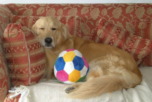 Homerito descansando después de jugar a la pelota!!!! Homerito descansando después de jugar a la pelota!!!!