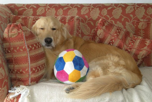 Homerito descansando después de jugar a la pelota!!!!