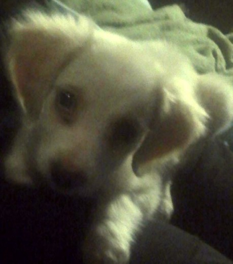 2 meses y 2 dias. n_n