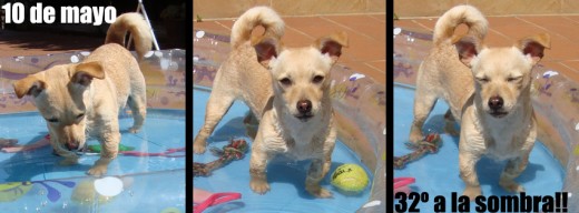 Chiki y su pelota Chiki y su pelota