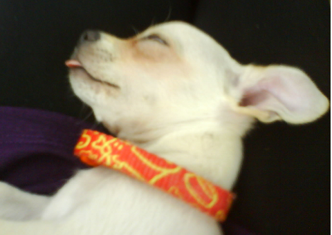 y asi le gusta dormir.. y asi le gusta dormir..
