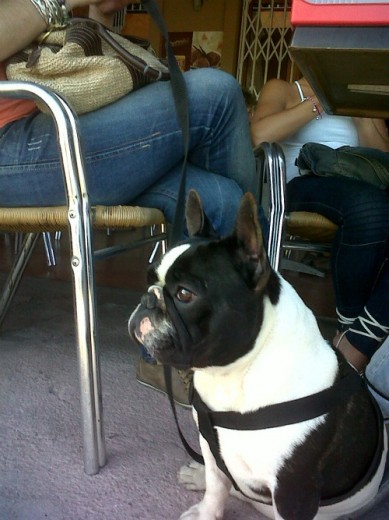 Este es Ramón, en la terraza de un café.