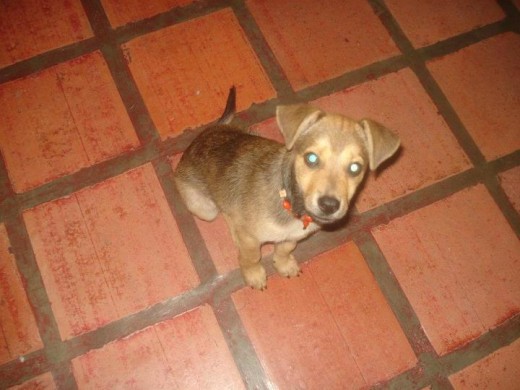 a los dos meses :) a los dos meses :)