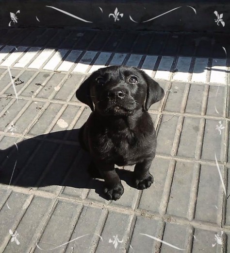 Que mimosho me lo como... jajjaa