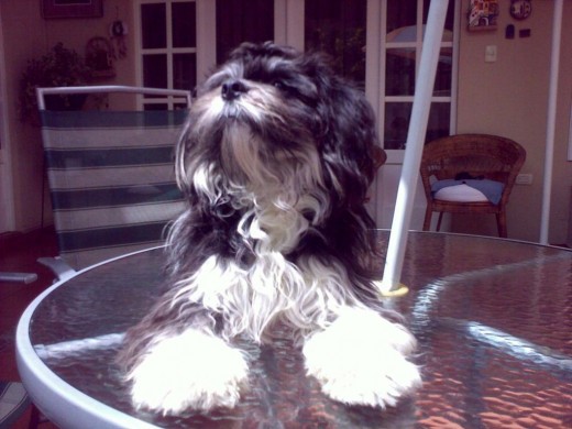 despues de su bañoo despues de su bañoo