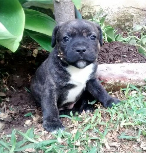 Aquí con 2 meses. Aquí con 2 meses.