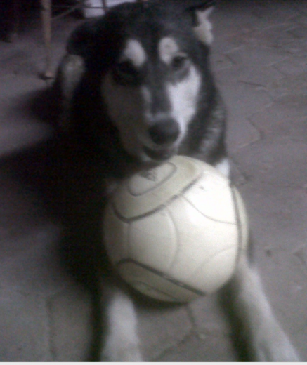 Susie con su balón favorito Jaja