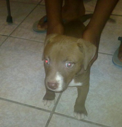 aki ls dejo a tayra tiene mes 14 dias aki ls dejo a tayra tiene mes 14 dias