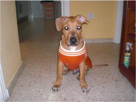 Cuando le compre su jersey pal frio jajaja Cuando le compre su jersey pal frio jajaja