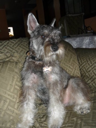 Mi bb Terry!!!!! Mi bb Terry!!!!!