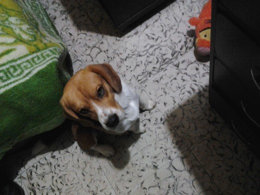 Mirando a mi mami Mirando a mi mami