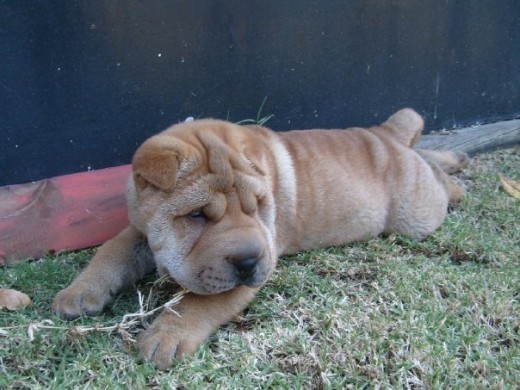 con sólo tres meses... con sólo tres meses...