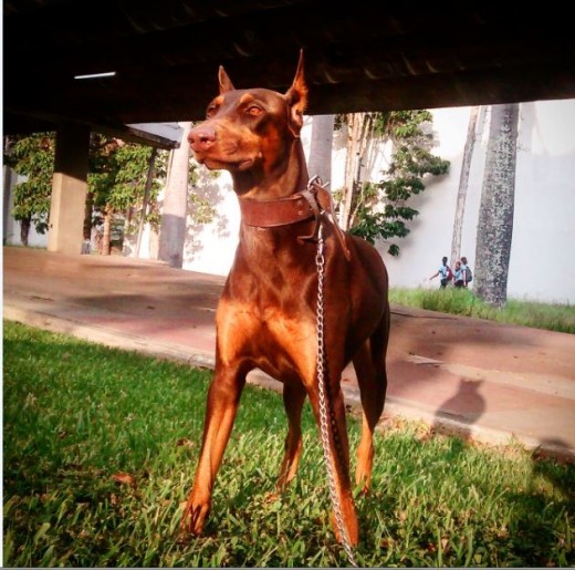 hookla posando hookla posando