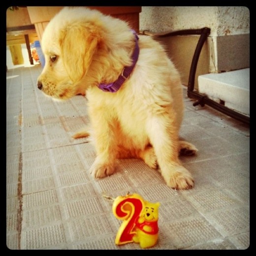 Celebrando sus 2 meses! Celebrando sus 2 meses!