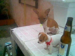 Lucas esta a un lado de vane o atras en la foto Lucas esta a un lado de vane o atras en la foto