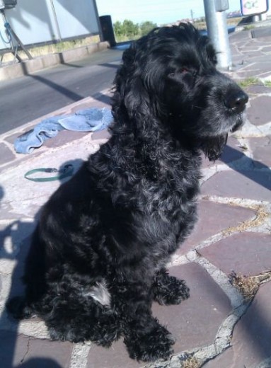 al aire libre. =)