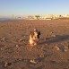 un ratito en mi playa de CHIPIONA