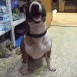 tayson 14 meses