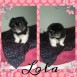 Lola <3