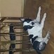 EL TRUENO