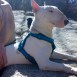 En el campo