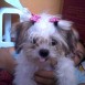Shalyn.