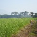 En el campo