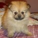 Wendy 2 meses