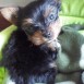 HIRU - 1 a 3 meses -