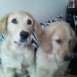 SIMON Y VICTORIA