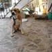 Lucky