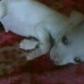 soy felizz