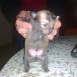 mi nuevo bebe 