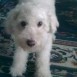 Peter 2010