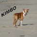 kimbo