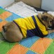 BRUNO CON LA CAMISETA DE COLOMBIA