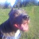 MI ROQUITO!!