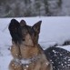 en la nieve