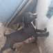 Bienvenido Cassius