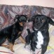 Jack y Tomy