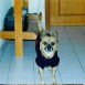 BEETHOVEEN Y LUNITA