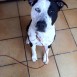 Tyson