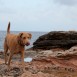 Zoe en la playa