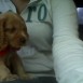 Ringo <3