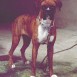 BRANDY PHOTOS