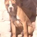 LEON