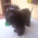 MI NIÑA LILI